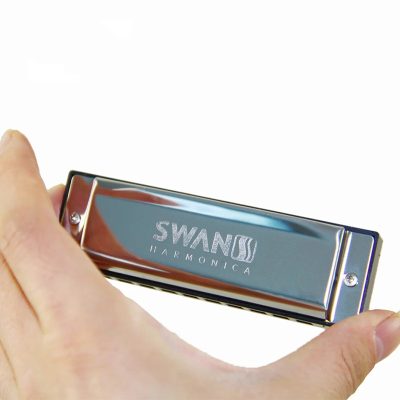 Harmonica diatonique en métal design blues avec étui en laiton