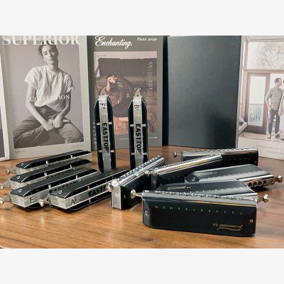 Harmonica chromatique 12 trous 12 accordages