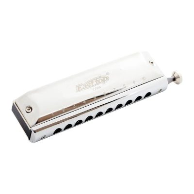 Harmonica chromatique en acier 10 trous