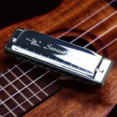 Harmonica diatonique blues 5 couleurs pop - couleur argent