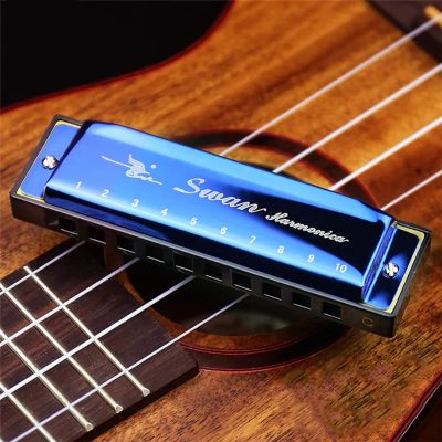 Harmonica diatonique blues 5 couleurs pop - couleur bleu
