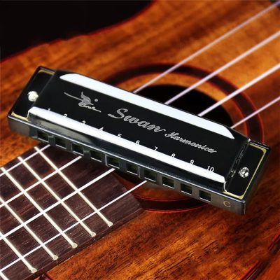 Harmonica diatonique blues 5 couleurs pop - couleur noir