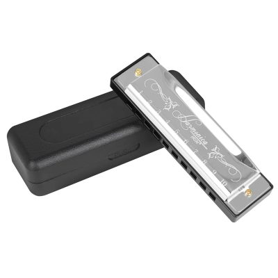 Harmonica diatonique en métal pour débutants - modèle argent