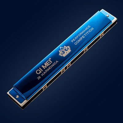 Harmonica professionnel 28 trous 3 couleurs - couleur bleu