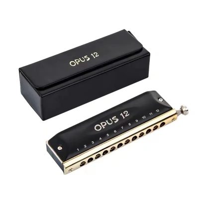 boîte et détails Harmonica chromatique en acier 12 trous