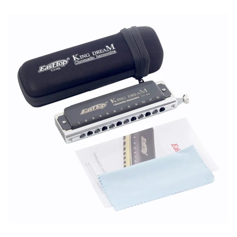 Harmonica Chromatique 12 Trous 48 Notes En Do (C), Instrument Professionnel Pour Débutant Avancé, Son Riche Et Étanchéité Parfaite, Argenté Avec Accessoires