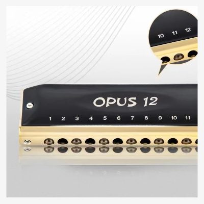détails Harmonica chromatique en acier 12 trous