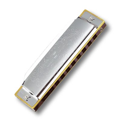 détails Harmonica diatonique en métal design blues