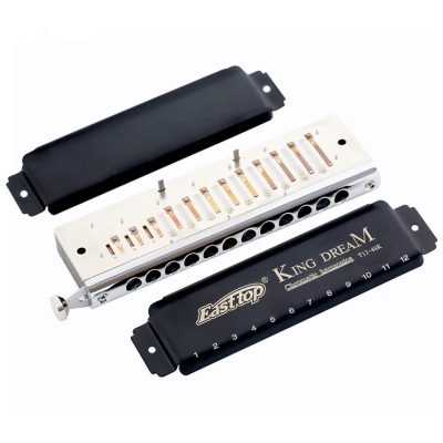 détails complets de l'Harmonica chromatique 12 trous