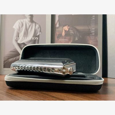 vue complète Harmonica chromatique 12 trous 12 accordages