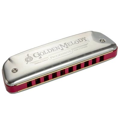 vue complete de l'Harmonica diatonique rétro 9 accordages
