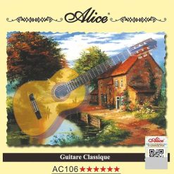 Cordes Guitare Classique Corde pour Apprentissage - cordes de base