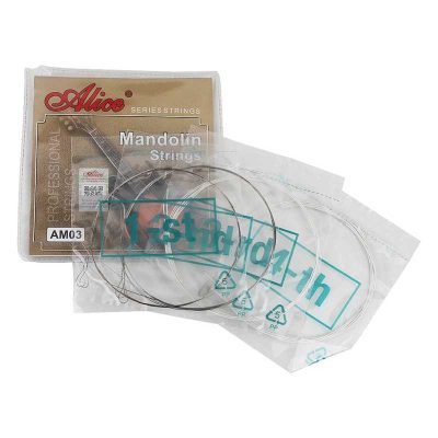 Vue détaillée Cordes de Mandoline - Idéales pour l'Apprentissage
