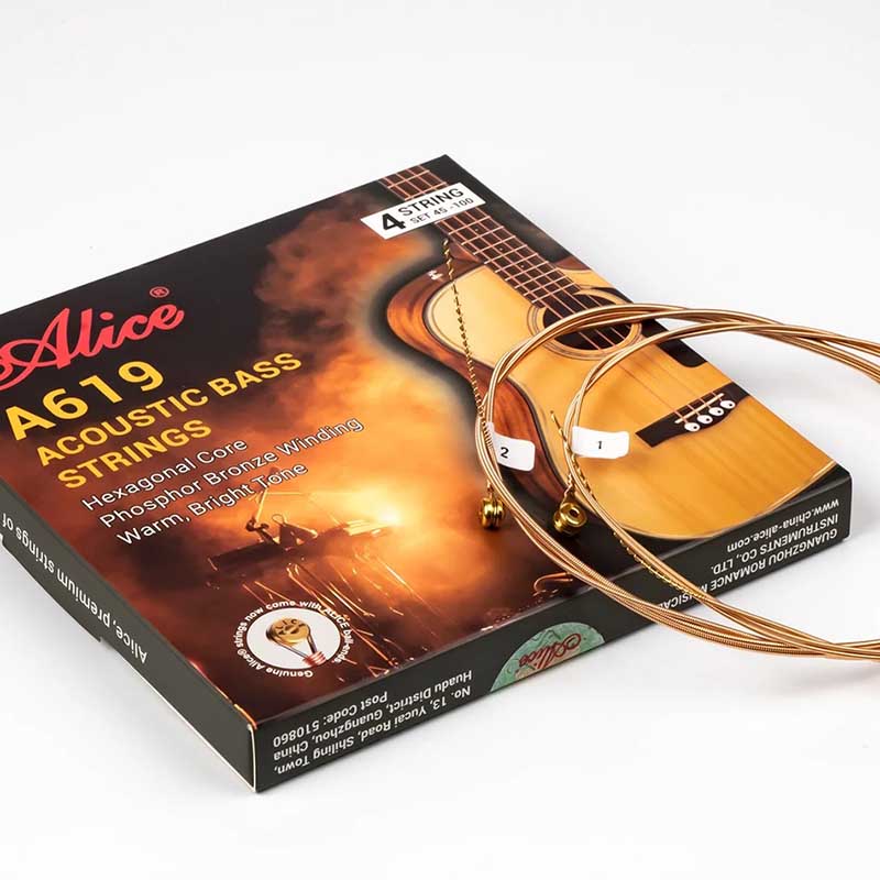 Vue générale Cordes de Basse Électrique - Pour un Usage Professionnel, Phosphore Bronze