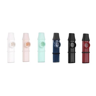Avant Kazoo Polyvalent Son Pur & Embout pour Flûte à Bec