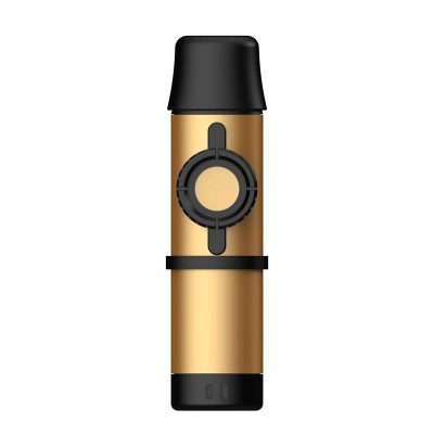 Kazoo Métallique Réglable - Sonorité Pro et Design Premium - Couleur Or