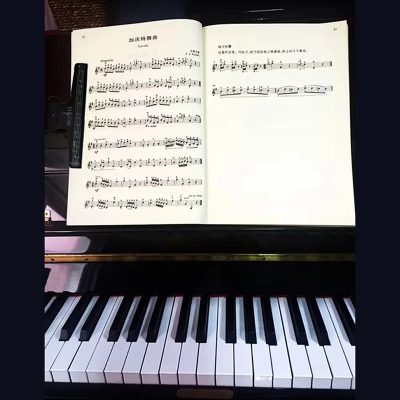 Pince à Partition Musicale - Clip de Maintien pour Feuilles de Musique