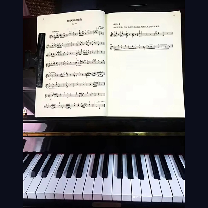 Pince à Partition Musicale - Clip de Maintien pour Feuilles de Musique