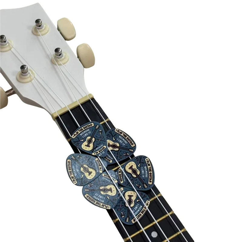 Plectres Humoristiques I Play the Guitar Because I Like It - Set de 6 avec Porte-Clés Étui